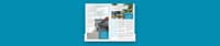 www.landuyt.design